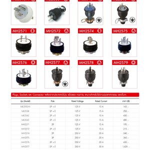 อุปกรณ์ปลั้กไฟ