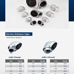 หมวกเข้าสาย (หัวงูเห่า)