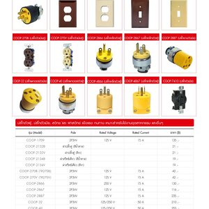 ปลั้กตัวผู็,ปลั้กตัวเมีย,สวิทช์เเละ ฝาสวิทช์