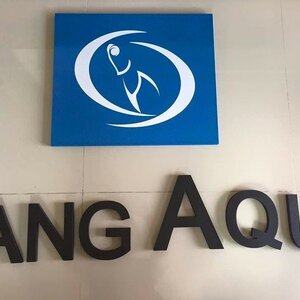 ป้ายตัวอักษรพลาสวูด ไม้ MDF