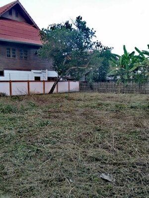 ขายที่ดินราคาถูกอำเภองาว จังหวัดลำปาง 130 ตรว. ติดถนนคอนกรีตใกล้ศูนย์ราชการ ตลาดสด ใกล้ธนาคารออมสิน 900 เมตร เหมาะสร้างบ้านบรรยากาศดีเดินทางสะดวก พื้นที่กว้างขวาง 4.2 แสนบาท