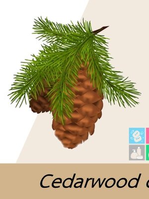 COA ,MSDS(SDS)Cedarwood Essential Oil / น้ำมันหอมระเหยซีดาร์วู้ด