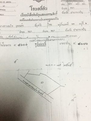 ขายที่อำเภอพนา ด่วน ต้องการขายที่ดินอำเภอพนา เจ้าของขายเองค่ะ