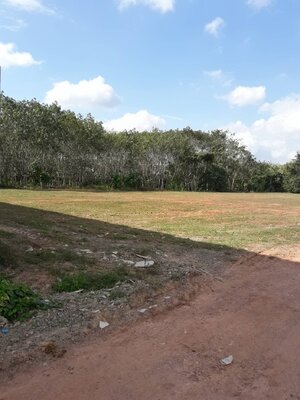 ขายที่ดินถมแล้วติดถนนใหญ่ 4 เลน มีระบบน้ำประปา หม้อแปลงไฟฟ้าแรงสูงพร้อม สามารถดำเนินการทำโครงการบ้านเดี่ยวขนาด 60ถึง70 ตารางวาได้ประมาณ35หลัง ขนาด7.5ไร่ ตำบลที่วัง อำเภอทุ่งสงจังหวัดนครศรีธรรมราช