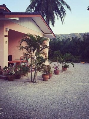 ขายบ้านสวยพร้อมที่ดินสวนปาล์ม 2 ไร่ 2 งาน 94 ตรว. พื้นที่กว้างพร้อมสำหรับทุกคนในครอบครัวใกล้ชายฝั่งทะเลห่างจากที่ว่าการ อ.ขนอม 6.6 กม. จ.นครศรีธรรมราช