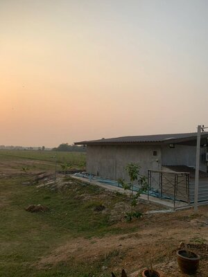 ขายสวนไผ่ซางหม่นราคาถูกเจ้าของขายเอง 47 ไร่ 45 ตารางวา ไร่ละ1.5 แสนบาท ต.หนองขุ่น อ.วัดสิงห์ จ.ชัยนาท (โฉนดครุฑแดง)