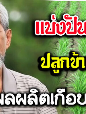 แนวคิดการปลูกข้าว อย่างไร 1 ไร่ ให้ได้เกือบ 7 ตัน...