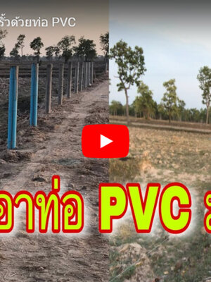 คลิปไอเดียวิธีทำเทเสารั้วด้วยท่อพีวีซี PVC
