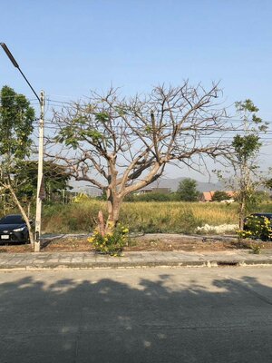 ให้เช่าที่ดินใกล้ชายฝั่งทะเลเนื้อที่ 4 ไร่ 1 งาน 70.2 ตรว. อำเภอหัวหิน จังหวัดประจวบคีรีขันธ์บรรยากาศดีทำเลหมาะแก่การทำธุรกิจ