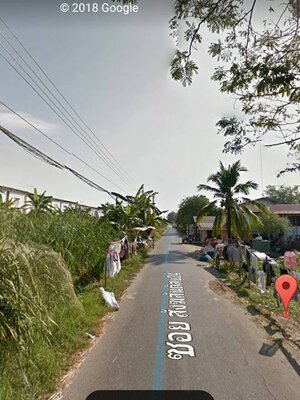 ขายที่ดินหนองจอก ขายที่ดินสวยราคาถูกเหมาะแก่การสร้างบ้านอยู่อาศัยใกล้แหล่งงาน