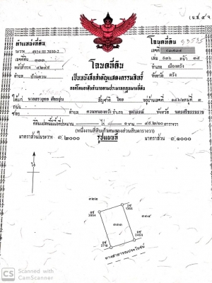 ขายที่ดินสวยทำเลทองราคาถูก อ.เมืองตรัง 149.2 ตรว.