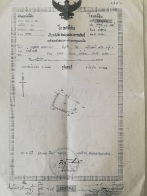 ขายที่ดินราคาถูกพร้อมสวนผลไม้สำเร็จรูป อ.บ้านค่าย จ.ระยอง7ไร่1งาน61ตรว.