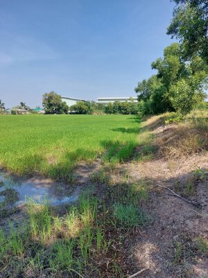 ที่ดินเจ้าของขายเอง 4 ไร่ 39 ตารางวาอำเภอ ลาดหลุมแก้ว จังหวัดปทุมธานีใกล้โรงพยาบาลลาดหลุมแก้ว 1 กม.เหมาะทำธุรกิจหรือประโยชน์อื่นๆบรรยากาศดีการเดินทางสะดวก