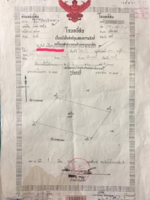 ขายที่ดินสวยราคาถูก อ.เมืองกระบี่ ห่างจากตลาดสดมหาราช 654 เมตร ใกล้ศาลากลางจังหวัดกระบี่ 1.45 กม.การเดินทางเข้าออกสะดวกสบาย