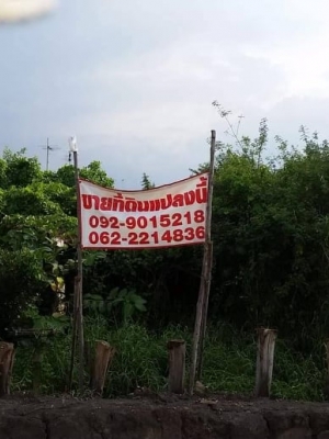 ขายที่ดินสวยราคาถูกลดราคาพิเศษติดคลองเจ้าเจ็ด อ.เสนา จ.อยุธยา