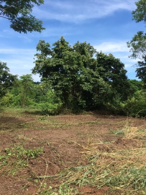 ขายที่ดินสวยราคาถูกใกล้ตัวเมืองหนองคายห่างจากสำนักงานพัฒนาฝีมือแรงงานหนองคาย 3.9 กม.