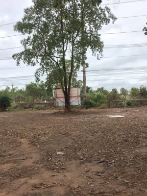 ขายที่ดินติดถนนสี่เลนสวยมาก!! คุณพิมพ์ลดาเจ้าของทรัพย์ ราคาถูก อ.เมืองพิษณุโลกติดถนนเลี่ยงเมือง หน้ากว้าง40เมตร