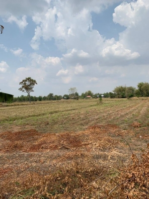 ขายที่อ.ประโคนชัย (เจ้าของขายเอง) ไม่มีนายหน้า !!!