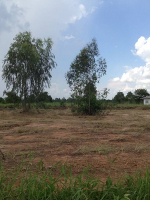 ด่วนขายที่ดินสวยราคาถูก9ไร่ 3งาน 97ตรวติดถนนใหญ่ห่างจากสะพานข้ามแยกอินโดจีน 3 กม.เหมาะทำธุรกิจอ.เมืองพิษณุโลกการเดินทางสะดวก