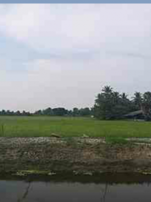 ขายที่ดินสวยราคาถูกติดโรงเรียนวัดท้ายตลาดและตรงข้ามวัดท้ายตลาดใกล้ สภ.เขาย้อย 1.87 กม.อ.เขาย้อย จ.เพชรบุรี