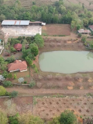 ขายที่ดินอำเภอหล่มเก่า 089-8923534 คุณยศ ธนรังสีกุล เจ้าของทรัพย์