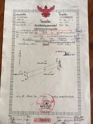 ด่วนขายที่ดินสวยราคาถูกที่สุดหลังโรงพยาบาล อ.ป่าซาง จ.ลำพูน