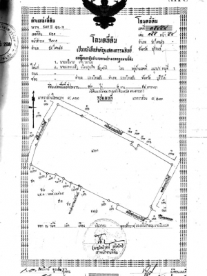 ขายที่ดินราคาถูกที่สุดในเขตเทศบาลอ.ประโคนชัยจ.บุรีรัมย์
