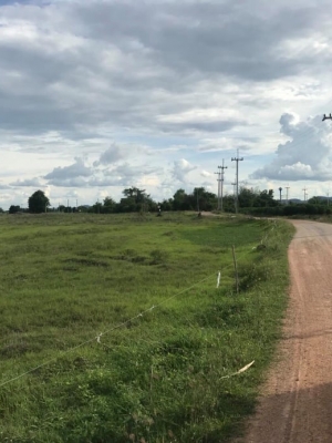 ขายที่ดินสวยราคาถูกอ.ห้วยกระเจา จ.กาญจนบุรี21ไร่ 1 งาน 27 ตรว.