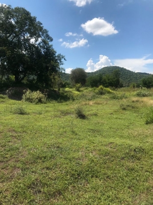 ขายที่ดินสวยราคาถูก อ.บ้านโป่ง จ.ราชบุรี 16 ไร่ 2 งาน 8 ตรวม.