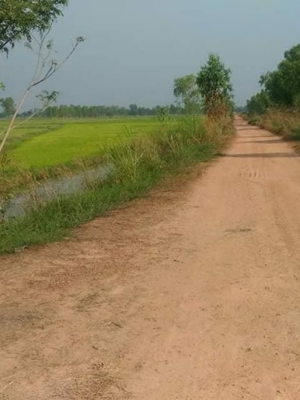 ขายที่อำเภอเมืองพิษณุโลก ด่วน ต้องการขายที่ดินอำเภอเมืองพิษณุโลก เจ้าของขายเองค่ะ