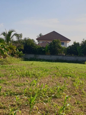 ขายที่ดินสวยราคาถูกห่างจากโรงเรียนอนุบาลเชียงคำ 388 เมตร ใกล้โลตัเชียงคำ 1.74 กม.