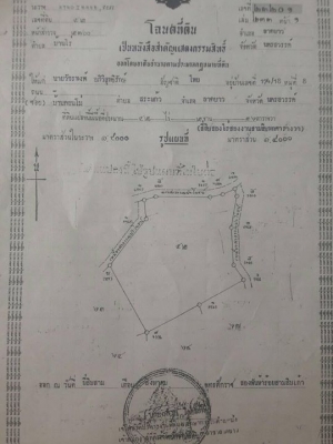 ขายที่ดินอำเภอลาดยาว จังหวัดนครสวรรค์ เจ้าของขายเอง ใหม่ล่าสุด ที่ดินเเปลงใหญ่