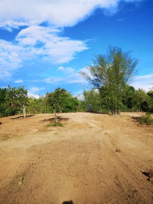 ด่วนขายที่ดินพร้อมบ้านสวนราคาถูกที่สุดมีประปาพร้อมใช้งานเนื้อที่ิ 5 ไร่ 2 งาน 69 ตรว. บ้านนาฟาน ต.ดอนไฟ อ.แม่ทะ จ.ลำปาง