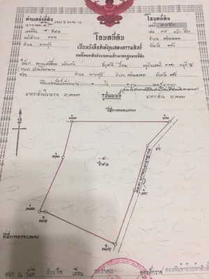 ขายที่ดินสวยราคาถูก อ.ห้วยยอด จ.ตรัง