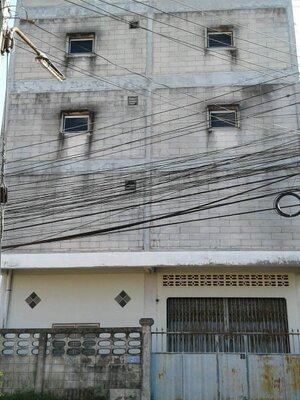 ขายบ้านรังนก พร้อมที่ดิน มีบ้านสำหรับพักได้ด้านล่าง มีนกแล้วประมาณ 350-400 ตัว