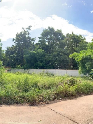 ขายที่ดินสวย113.2 ตรว.ราคาถูกที่สุดในหมู่บ้านเมืองประชา อ.เมืองของแก่น