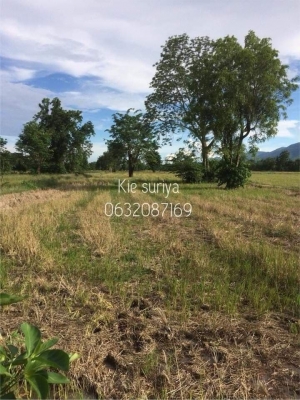 ขายที่ดินสวยราคาถูกมาก 0632087169 ต.หนองกรด อ.เมืองนครสวรรค์ สุริยา บุญเชย เจ้าของทรัพย์