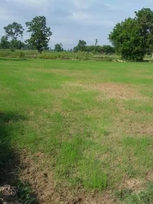 ขายที่ดินสวยราคาถูกที่สุด อ.ภูสิงห์ จ.ศรีสะเกษ 11ไร่39 ตรว.