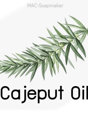 COA Cajeput Oil / คาเจพุท ออย /น้ำมันเขียว /น้ำมันเสม็ด / Cajuput oil