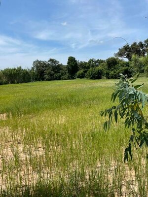 ขายที่ดินตัวอำเภอพนมไพรจังหวัดร้อยเอ็ดราคาถูกติดถนนคอนกรีตใกล้ที่ว่าการอำเภอพนมไพรไร่ละ 2.3 แสนบาท เท่านั้นบรรยากาศดีการเดินทางสะดวกสบาย