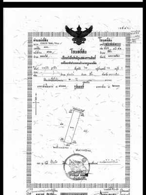 ขายที่ดินสวยราคาถูกห่างจากสำนักงานเทศบาลคลองไผ่ 1.65 กม. อ.สีคิ้วจ.นครราชสีมา 4 ไร่การเดินทางสะดวกสบาย