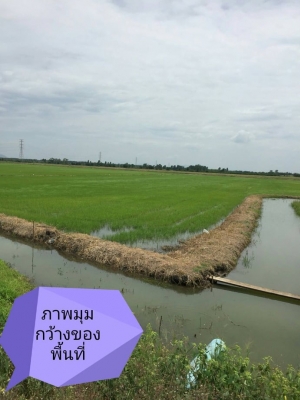 ขายที่ดินสวยราคาถูกพร้อมบ้าน อ.บ้านหมี่ จ.ลพบุรี