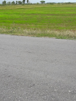 ขายที่ดินราคาถูกใกล้สถานีรถไฟหนองผักชี1.2กม. อ.บางปลาม้า จ.สุพรรณบุรี