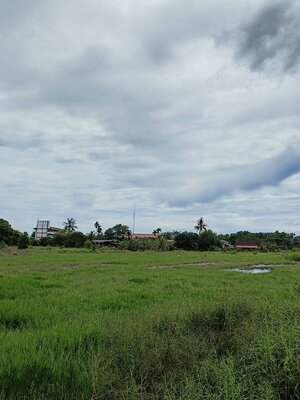 ขายที่ดินติดถนนสุขุมวิทอำเภอแกลงจังหวัดระยอง ติดสภ.แกลงใกล้โรงพยาบาล350เมตร โลตัส 1.5กม. เหมาะทำธุระกิจ บ้านจัดสรร ปั้มนํ้ามัน อื่นๆ10 ไร่ 97.5 ตรว.