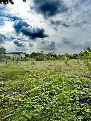 💥📣ขายที่ดินหนองแขมซอยหมู่บ้านเพชรมณฑลกรีนใกล้ตลาด เซเว่น ปั้มนํ้ามัน โลตัสและบ้านจัดสรร เหมาะสำหรับนักลงทุนที่กำลังหาที่ดินทำธุรกิจในย่านนี้ถือว่าเหมาะมาก สนใจติดต่อเจ้าของได้โดยตรงตามเบอร์ด้านล่างท้ายประกาศ💥📣