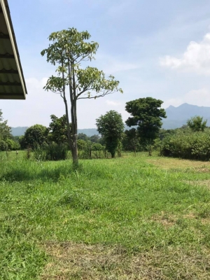 ขายที่ดินราคาถูกอ.มวกเหล็ก จ.สระบุรีใกล้ อบต.มิตรภาพและโรงพยาบาลมวกเหล็ก