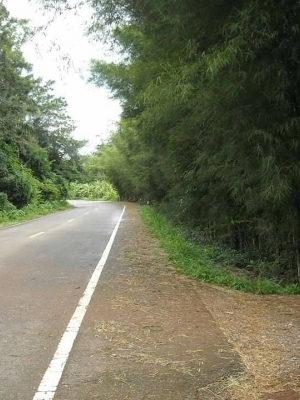 ขายที่ดินอำเภอแหลมงอบสวนผลไม้ลองกองมังคุดราคาถูกที่สุด17 ไร่ 3 งาน 80 ตรว.