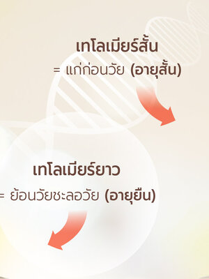 เทโลเมียร์ (Telomere) คืออะไร? ทำไมจึงสำคัญต่อสุขภาพและอายุขัย