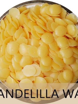 COA Candelilla Wax /แคนเดลิลล่า แว็กซ์