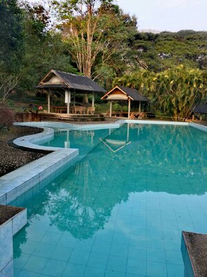 ขายที่ดินพร้อมสิ่งปลูกสร้าง อ.เมืองปาง จ.ลำปาง บริเวณล้อมรอบด้วยป่าสงวนแห่งชาติ ปกคลุมด้วยภูเขา และป่าไม้ร่มรื่น เงียบสงบปลอดภัยใกล้หมู่บ้านเดินทางสะดวกเหมาะสำหรับผู้รักในธรรมชาติ